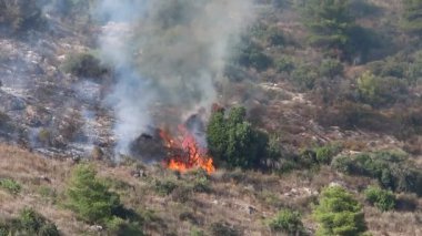 İsrail ile Lübnan arasındaki sınırdaki dağlardaki bir ormanda şiddetli bir yangın. Ağaçlar ve kuru otlar yanıyor.. 