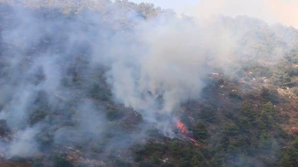 Incêndio Violento Numa Floresta Nas Montanhas Fronteira Entre Israel Líbano — Vídeo de Stock