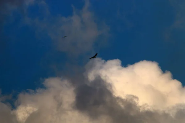 Kuzey Srail Deki Akdeniz Üzerinde Mavi Bir Gökyüzü Üzerinde Yağmur — Stok fotoğraf