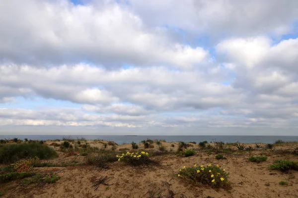 Chmury Deszczu Błękitne Niebo Nad Morzem Śródziemnym Północnym Izraelu — Zdjęcie stockowe