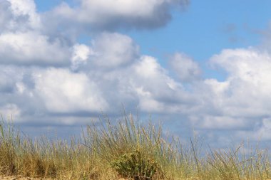 Kuzey İsrail 'deki Akdeniz üzerinde mavi bir gökyüzü üzerinde yağmur bulutları 