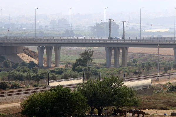 Reinforced Concrete Bridge Road Transport Landscape Bridge Northern Israel — Stock Photo, Image