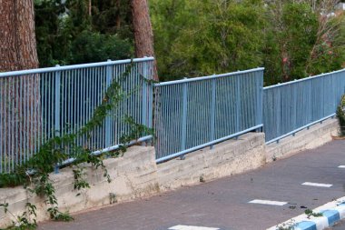 İsrail 'in kuzeyindeki bir şehir parkında yeşil çalılar ve çiçekler büyüyor. 