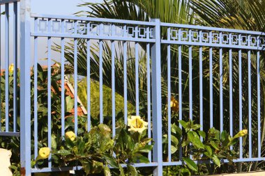 İsrail 'in kuzeyindeki bir şehir parkında yeşil çalılar ve çiçekler büyüyor. 