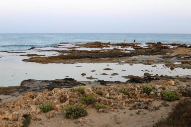 İsrail 'in kuzeyindeki Akdeniz' in kayalık kıyıları. Resmi masaya yerleştir 