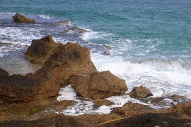 İsrail 'in kuzeyindeki Akdeniz' in kayalık kıyıları. Resmi masaya yerleştir 