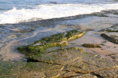İsrail 'in kuzeyindeki Akdeniz' in kayalık kıyıları. Resmi masaya yerleştir 