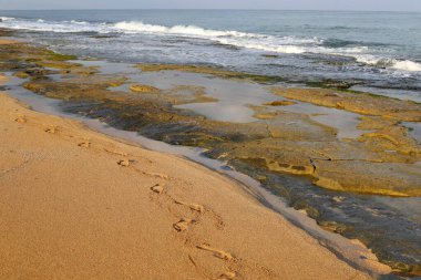 İsrail 'in kuzeyindeki Akdeniz' in kayalık kıyıları. Resmi masaya yerleştir 