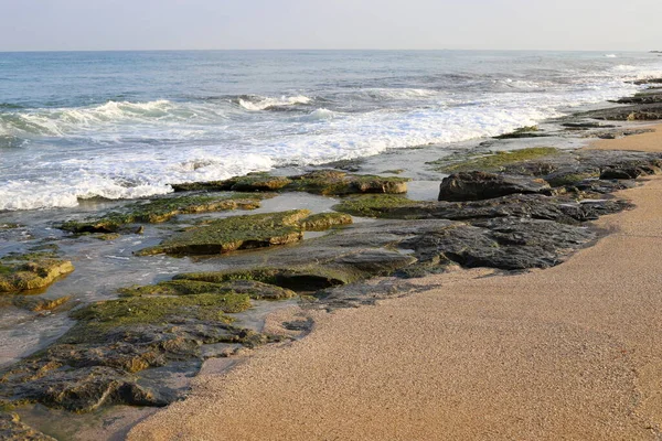 Medelhavets Klippiga Kust Norra Israel Lagerbild Bordet — Stockfoto