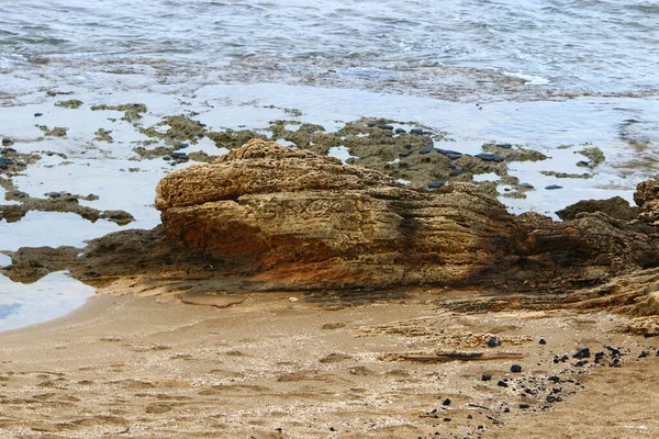 Rocky Coast Mediterranean Sea North Israel Stock Image Table — Stock Photo, Image