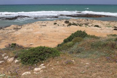 İsrail 'in kuzeyindeki Akdeniz' in kayalık kıyıları. Resmi masaya yerleştir 