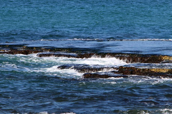 イスラエル北部の地中海のロッキー海岸 テーブルの上のストック画像 — ストック写真