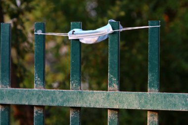 Grip ve diğer hastalıklara karşı korunmak ve virüsün ve COVID-19 salgınının yayılmasını önlemek için tıbbi maske. İsrail 'de bir şehir parkında maske. 