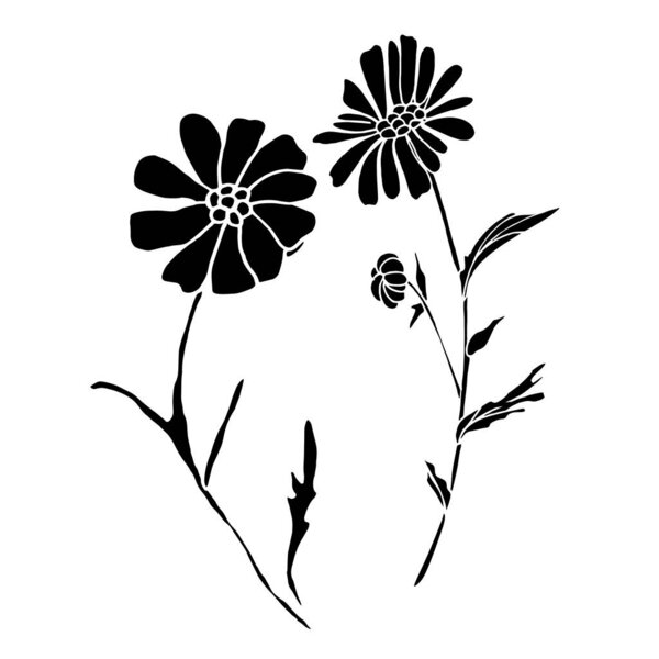  Африканская маргаритка. Векторный цветочный клипарт
