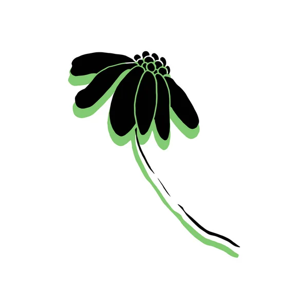  Afrika papatyası. Vektör çiçek klipsi