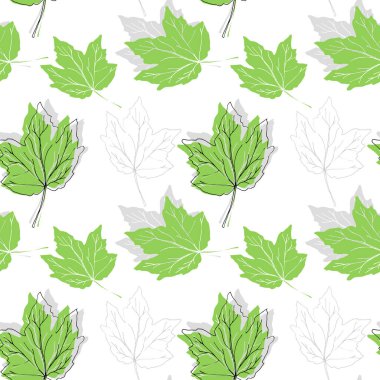 Kusursuz çiçek deseni. Abutilon. Çiçek tasarımı. Botanik tasarımı. Çiçekler.