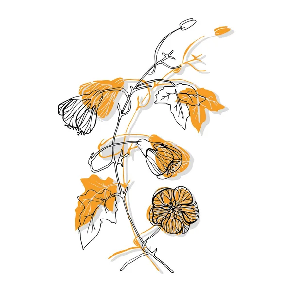 Vecteur Abutilon Design Floral Fleurs — Image vectorielle