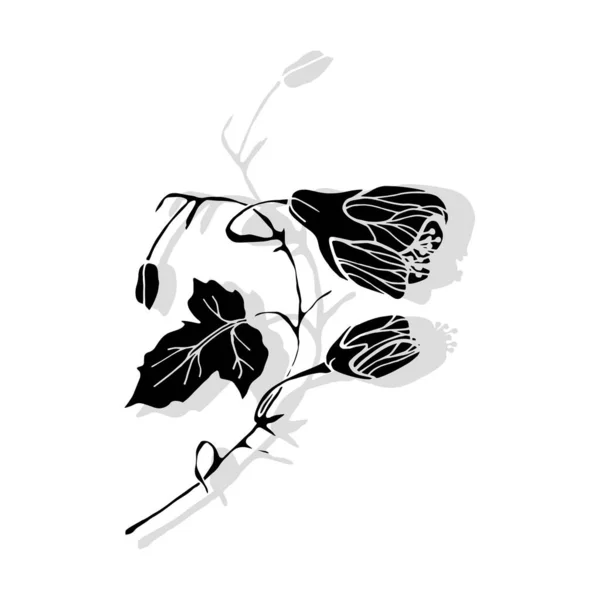 Vecteur Abutilon Design Floral Fleurs — Image vectorielle