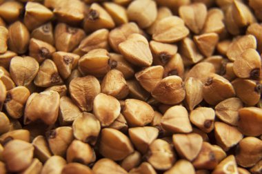 Tahıl buğday pirinç yakın çekim