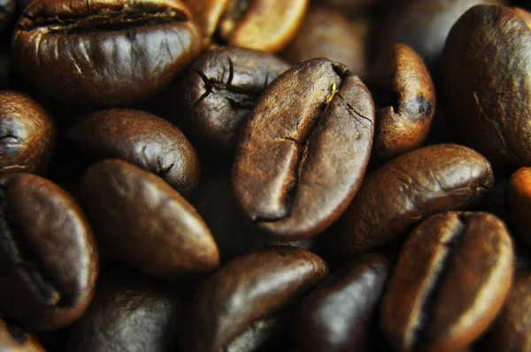 Taze kavrulmuş Arabica kahve yakın çekim taneleri