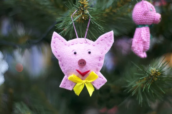 Bir Noel ağacı dalına asılı Noel oyuncak domuz