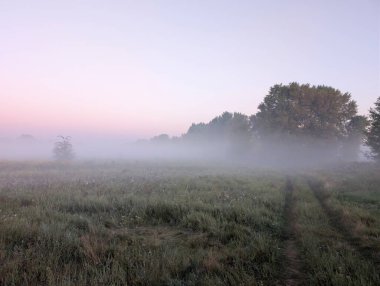 Nehirde ve ormanda sis var.