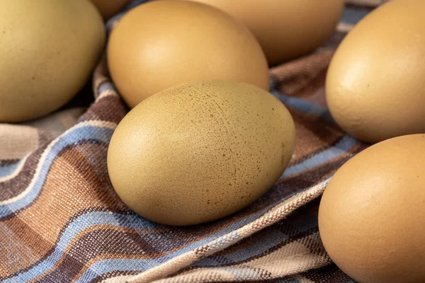 Close Uncommon Grey Green Chicken Eggs Showcasing Natural Beauty Poultry — Stock Photo, Image