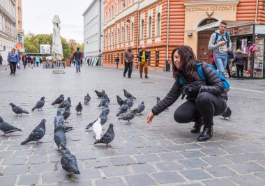 Brasov, Romanya, 06 Ekim 2017: güvercin Brasov eski şehir Romanya içinde açık havada besleme genç kadın
