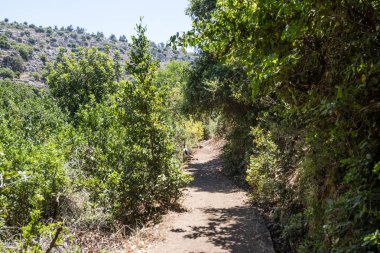 Bir küçük su kanalın yanındaki ağaçlık bir yamaç geçen ve Amud nehre inen yol
