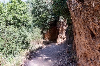 Ormanlık bir yamaç geçen ve Amud nehre inen yol