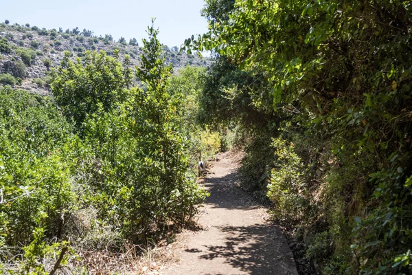 Bir küçük su kanalın yanındaki ağaçlık bir yamaç geçen ve Amud nehre inen yol