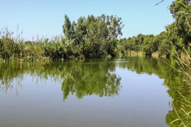 Alexander, Akdeniz'de İsrail içine akan Nehri'nin yeşillik ile büyümüş