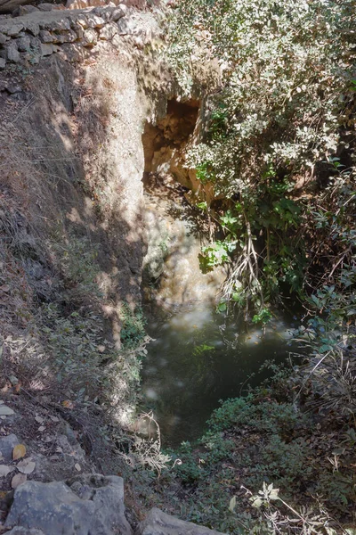 Pequeño Estanque Arroyo Forestal Amud Norte Israel —  Fotos de Stock