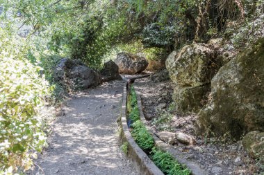 Ormanlık bir yamaç geçen ve Amud nehre inen yol