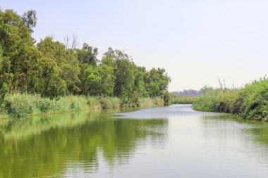 Alexander, Akdeniz'de İsrail içine akan Nehri'nin yeşillik ile büyümüş