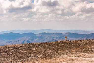 Dağın tepesinden Judean desert İsrail yakınındaki Mitzpe Ramon kasaba için sabahın erken saatlerinde görüntüleyin