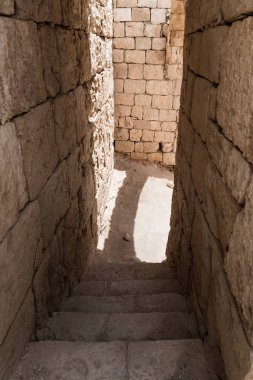 Adım önde gelen Nabataean şehir Avdat, Israil'deki Judean desert tütsü yolu üzerinde yer alan kale duvarına. Unesco Dünya Mirası listesinde bulunan.