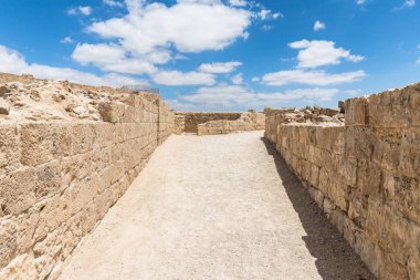 İsrail Judean desert tütsü yolu üzerinde yer alan kale duvarlarında Avdat Nabataean şehir arasında geçiş. Unesco Dünya Mirası listesinde bulunan.