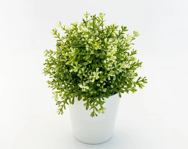 White - green plastic decorative flower in a white plastic pot is on a white background