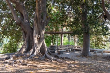 Tiberias, İsrail, 10 Eylül 2018: Altar Heronimos Celile Denizi - Kinneret kıyısında dağda bulunan manastır avlusunda