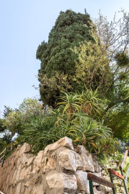 Kudüs, İsrail, 17 Kasım 2018: Bir bahçe Bahçe Mezar Doğu Kudüs, İsrail'de bulunan Kudüs'te parçası