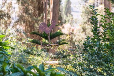 Kudüs, İsrail, 17 Kasım 2018: horoz, kilise Mary Magdalene Kudüs İsrail'in avlusunda çatıda şeklinde yapılan Weathervane