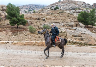 Wadi Musa, Ürdün, 06 Aralık 2018: Bedevi önde gelen Petra - Ürdün Wadi Musa şehirde Nabatean krallığının başkenti yol boyunca bir Arap atı at binme