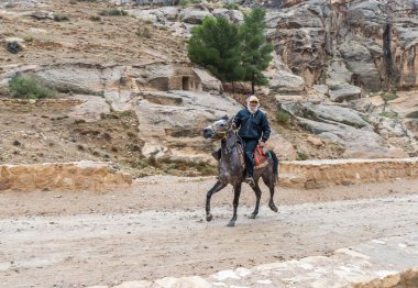 Wadi Musa, Ürdün, 06 Aralık 2018: Bedevi önde gelen Petra - Ürdün Wadi Musa şehirde Nabatean krallığının başkenti yol boyunca bir Arap atı at binme
