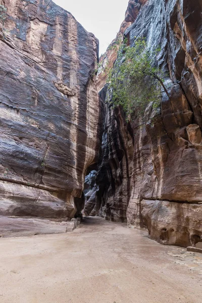 Siq Cañón Que Conduce Través Las Paredes Roca Roja Petra —  Fotos de Stock