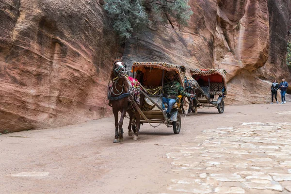 Wadi Musa Jordania Diciembre 2018 Beduinos Cabalgando Carro Tirado Por — Foto de Stock