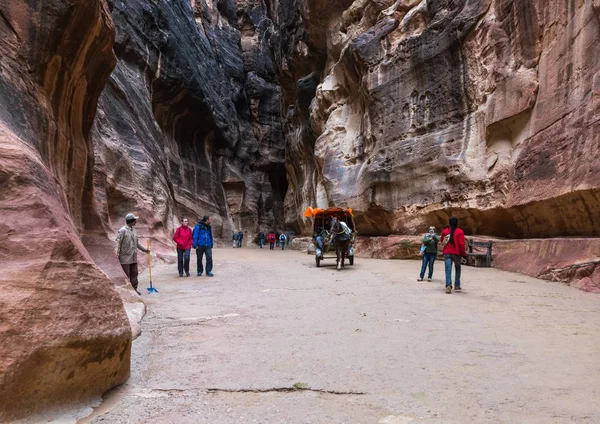 Wadi Musa Jordanië December 2018 Bedouin Rijden Een Wagen Getrokken — Stockfoto