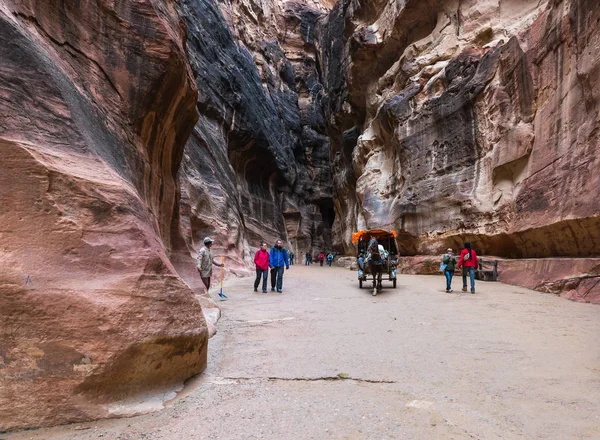 Wadi Musa Giordania Dicembre 2018 Beduino Cavallo Carro Trainato Cavallo — Foto Stock