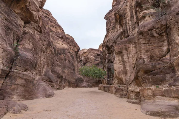 Siq 穿过红岩墙前往佩特拉 约旦瓦迪穆萨市纳巴坦王国的首都 — 图库照片