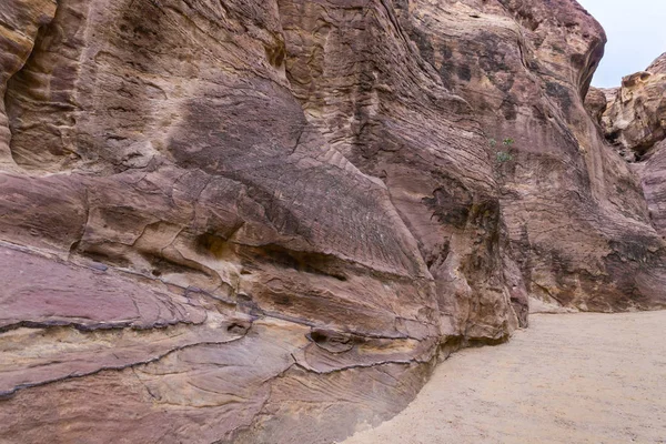 Siq Canyon Leidt Door Rood Rotswanden Naar Petra Hoofdstad Van — Stockfoto